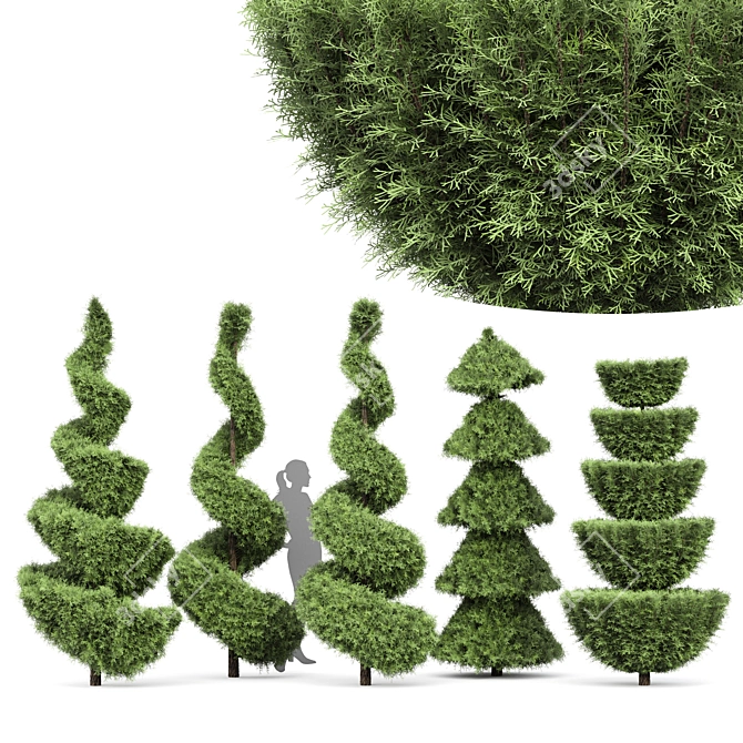 Italian Cypress Tree Set: Variety Heights & Realistic 3D Models 3D model image 1