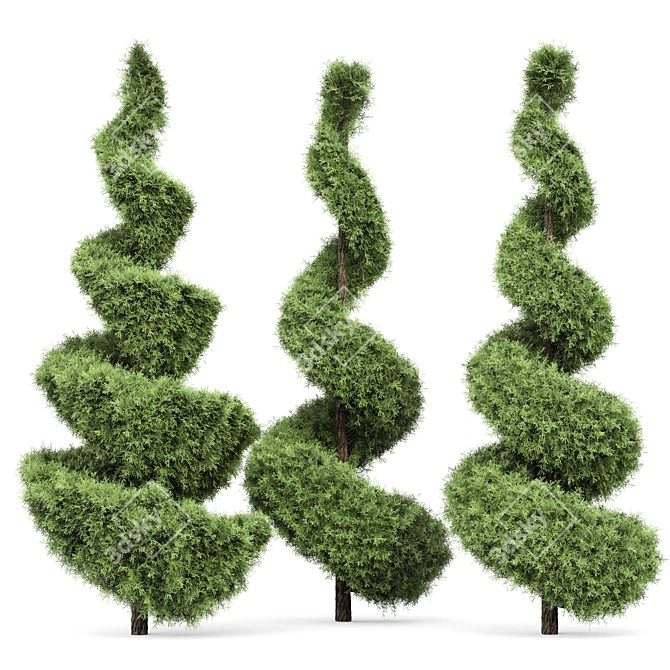 Italian Cypress Tree Set: Variety Heights & Realistic 3D Models 3D model image 2