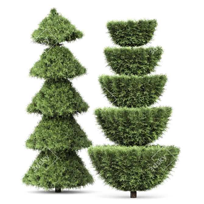 Italian Cypress Tree Set: Variety Heights & Realistic 3D Models 3D model image 3