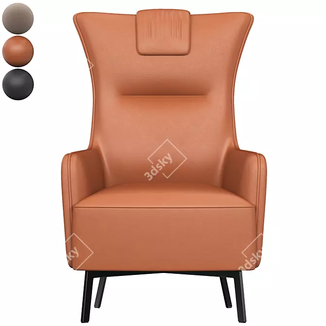 Luxury Leather Accent Lounger 3D model image 4