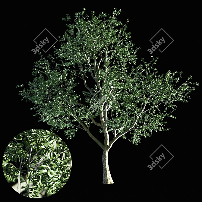 Nature's Shield: Tree Exterior 3D model image 1