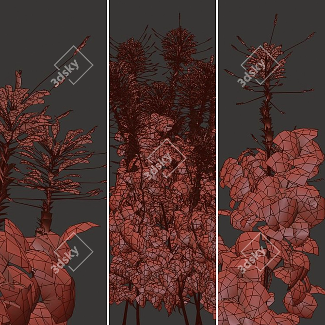 Pink Spiny Spider Flowers (2 Plants) 3D model image 1