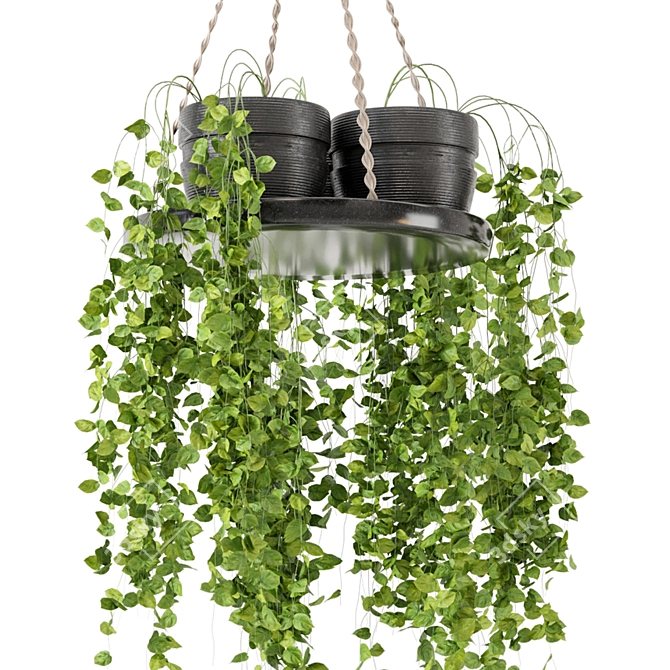  Rusty Concrete Pot Hanging Plants 3D model image 1