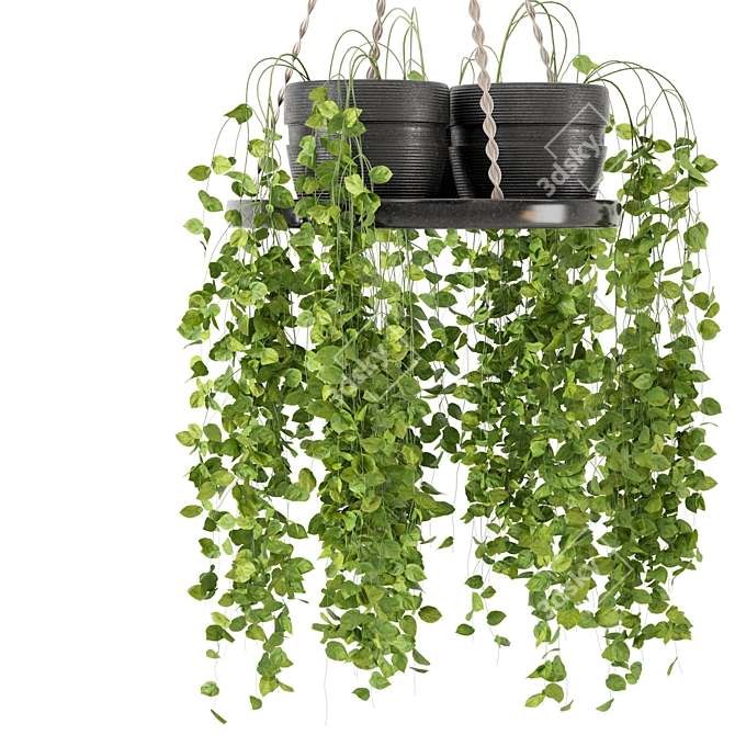  Rusty Concrete Pot Hanging Plants 3D model image 2