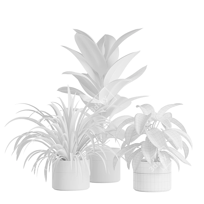 Green Oasis Indoor Plants Pack 3D model image 2