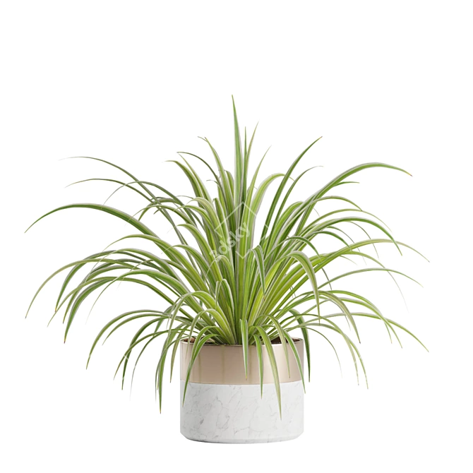 Green Oasis Indoor Plants Pack 3D model image 5
