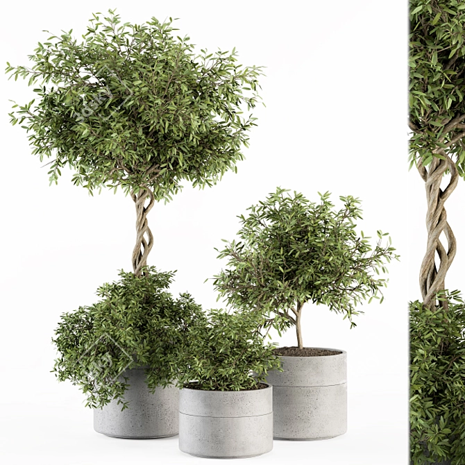 241-Piece Outdoor Plant Set 3D model image 1