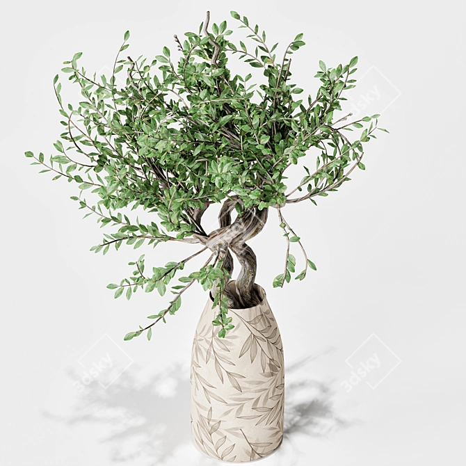 Minimalist Indoor Plant Décor 3D model image 2