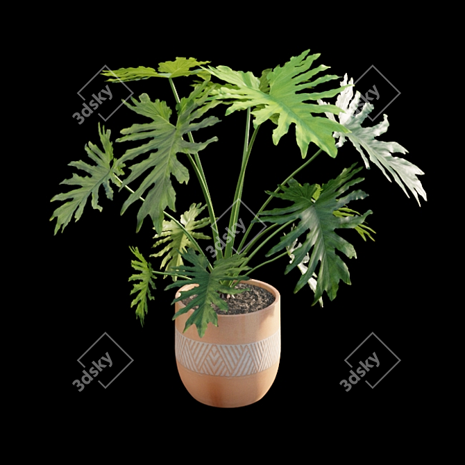 Philodendron Selloum Split: Exquisite Indoor Plant 3D model image 3