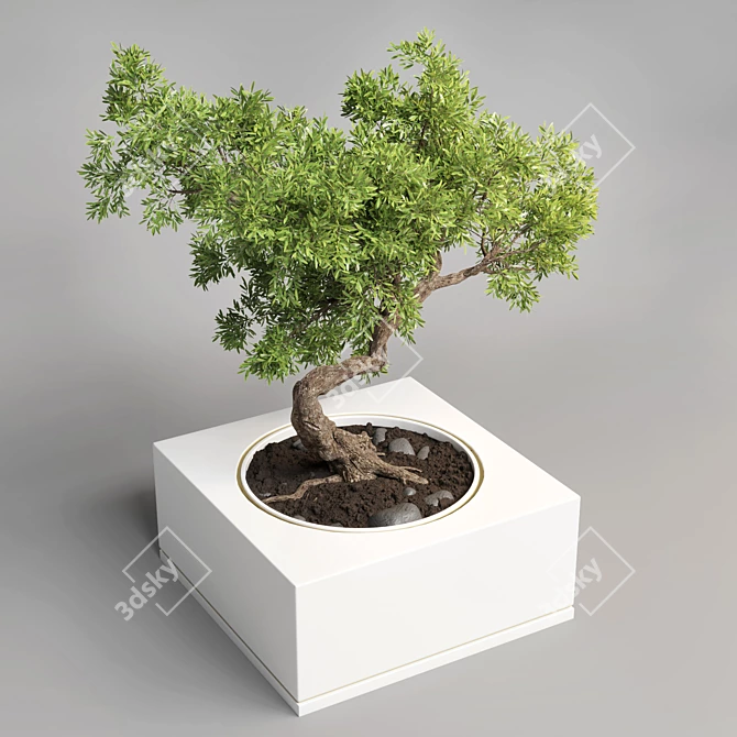 Concrete Bonsai Pot Vase 3D model image 1