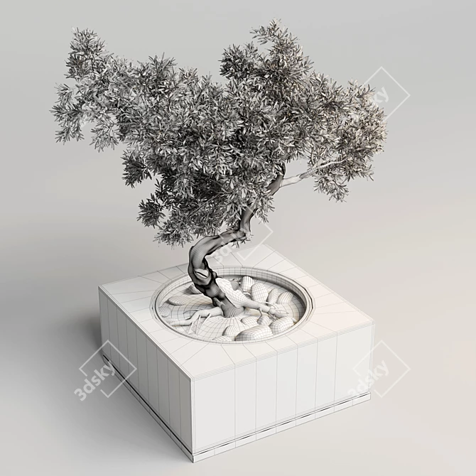 Concrete Bonsai Pot Vase 3D model image 5