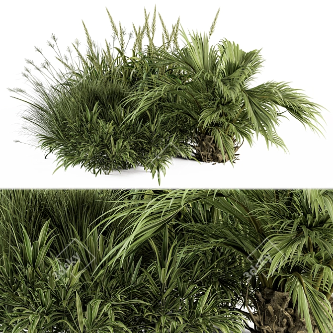 Tropical Paradise Bush Set 3D model image 1