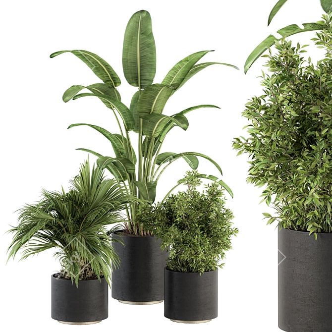 Refreshing Greenery: Indoor Plant Set 3D model image 1