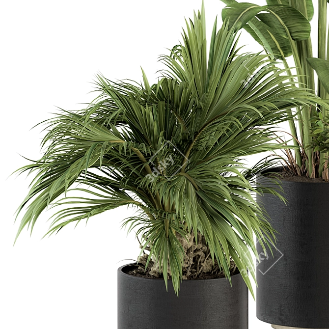 Refreshing Greenery: Indoor Plant Set 3D model image 2