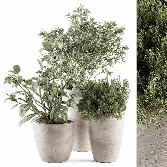 238-Piece Outdoor Plant Set 3D model image 1