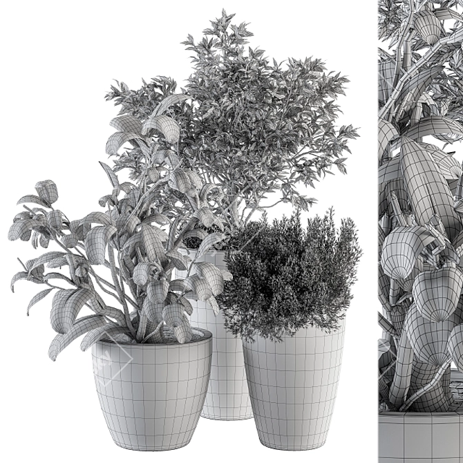 238-Piece Outdoor Plant Set 3D model image 5