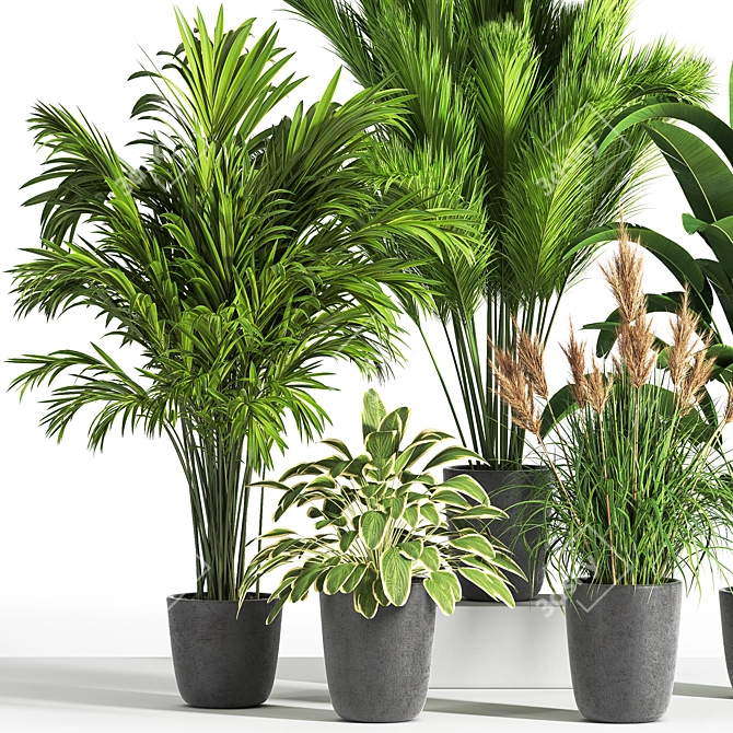 Indoor Oasis: 38 Unique Plant Set 3D model image 4