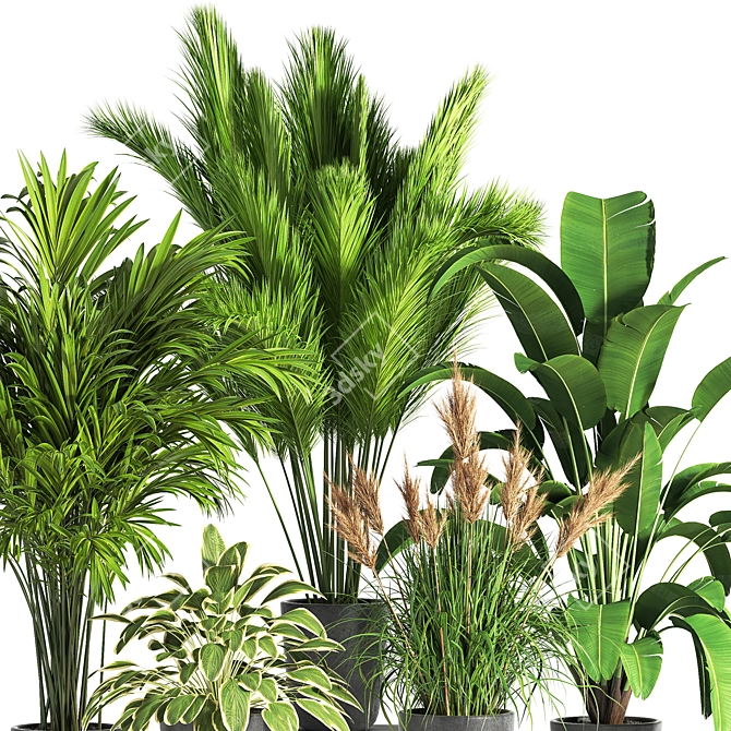 Indoor Oasis: 38 Unique Plant Set 3D model image 5