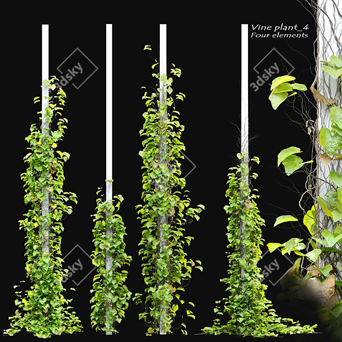 Title: Column-Fit Vine Collection 3D model image 5