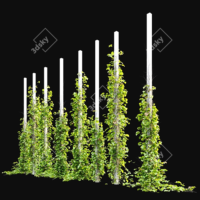 Title: Column-Fit Vine Collection 3D model image 1