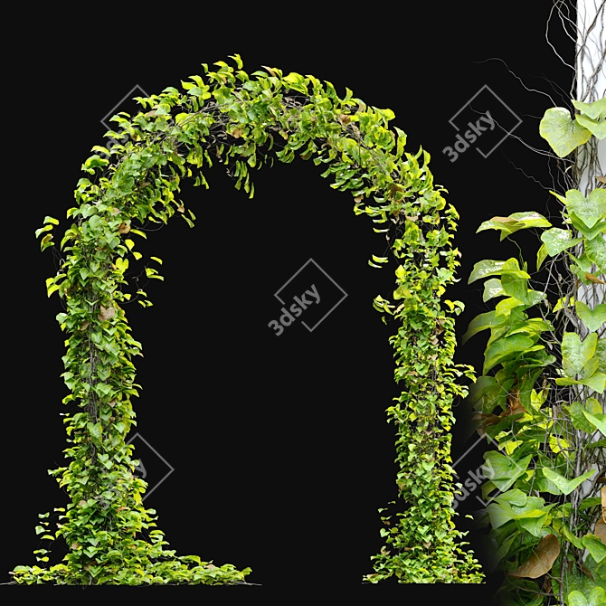 Title: Column-Fit Vine Collection 3D model image 3