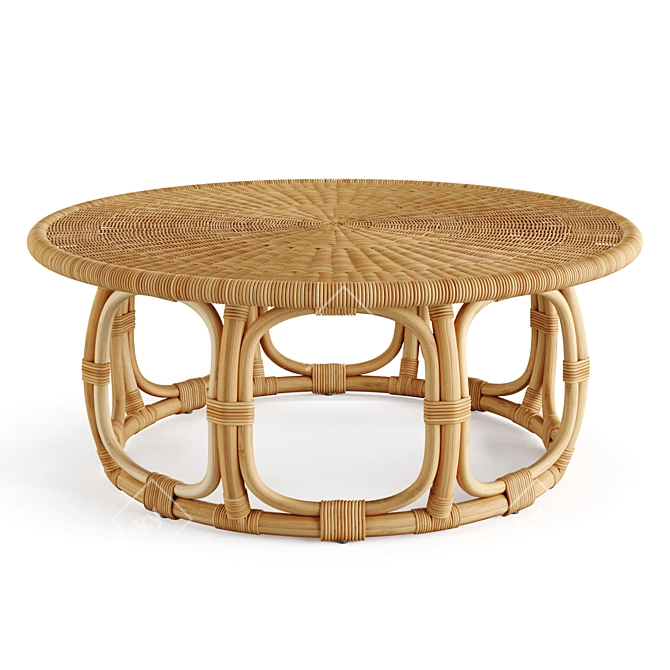 Serena & Lily Anguilla Rattan Coffee Table 3D model image 1