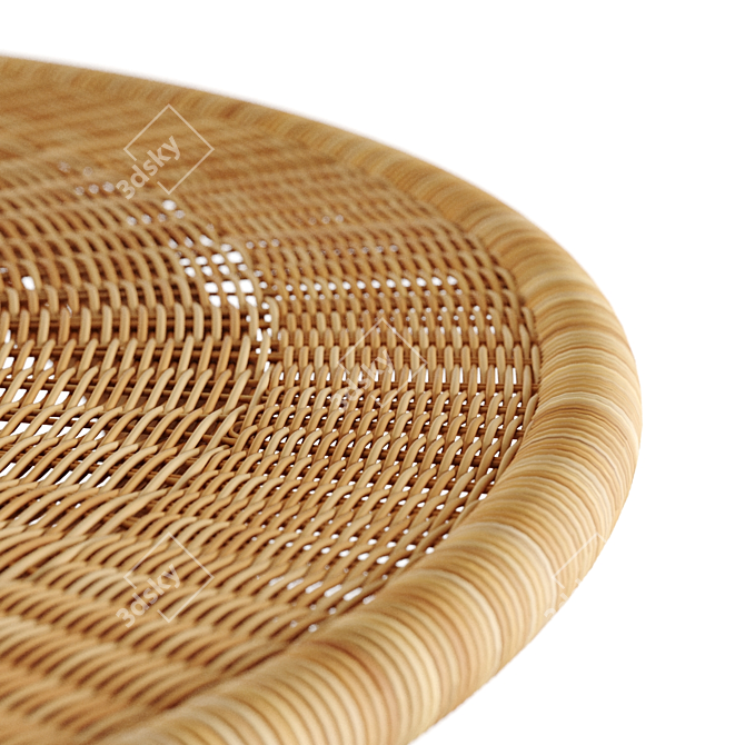 Serena & Lily Anguilla Rattan Coffee Table 3D model image 4