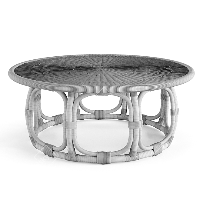 Serena & Lily Anguilla Rattan Coffee Table 3D model image 5