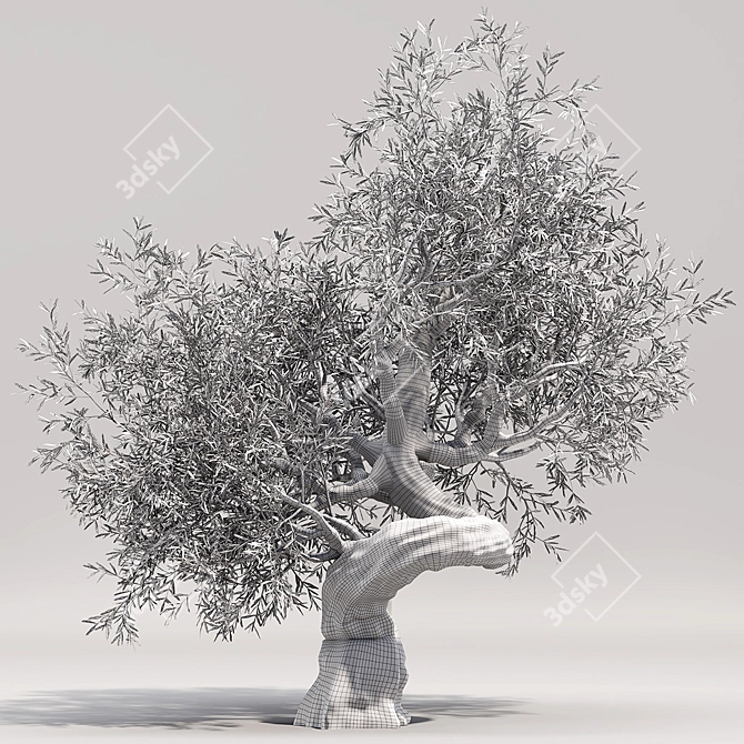 Green Oasis: Olive Tree Collection 3D model image 6