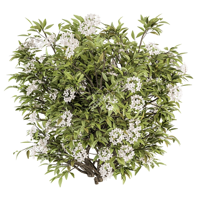 Pure Blooms: 30-Piece White Flower Bush 3D model image 2