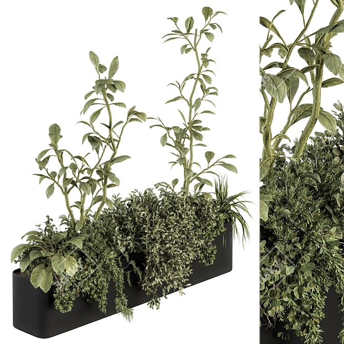 Nature's Oasis: Indoor Plant Set 3D model image 1