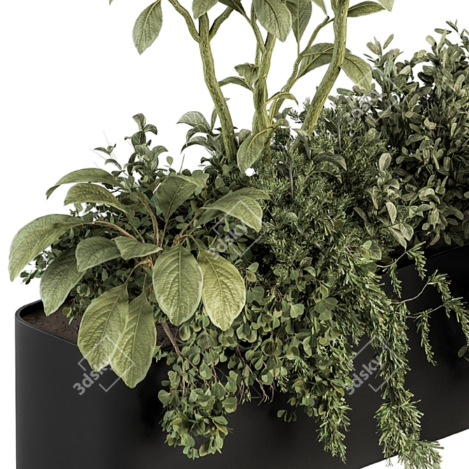 Nature's Oasis: Indoor Plant Set 3D model image 2