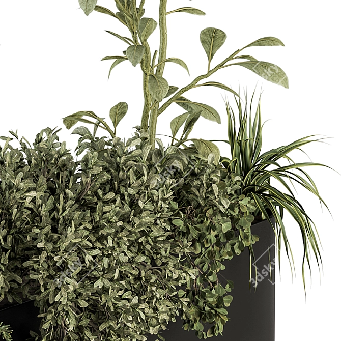 Nature's Oasis: Indoor Plant Set 3D model image 3