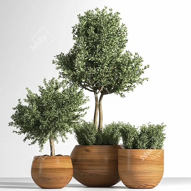 Luxury Outdoor Plant Set 3D model image 1