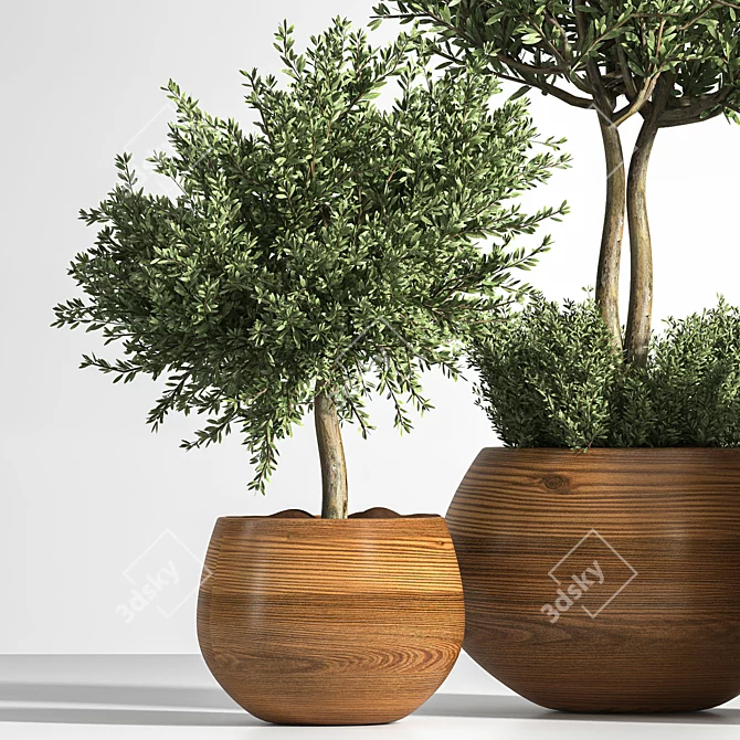 Luxury Outdoor Plant Set 3D model image 2