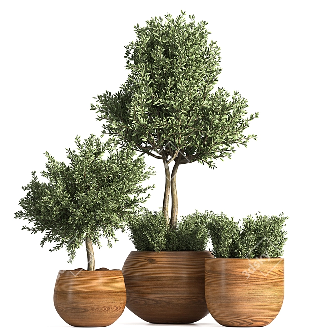 Luxury Outdoor Plant Set 3D model image 5