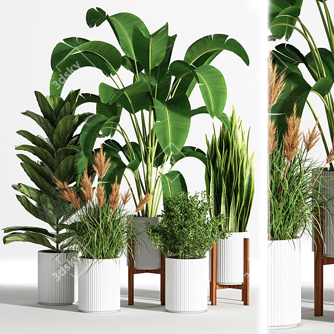 Indoor Set Plant 05 - Stylish Decor for Your Home! 3D model image 1