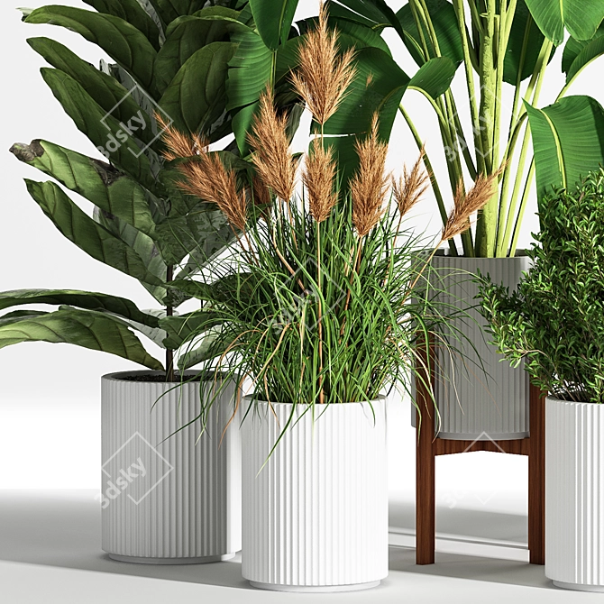 Indoor Set Plant 05 - Stylish Decor for Your Home! 3D model image 2