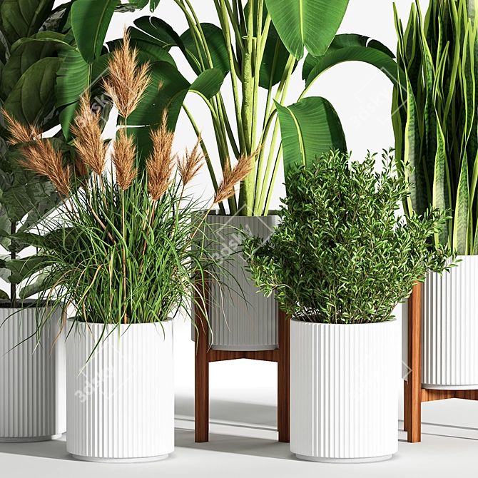 Indoor Set Plant 05 - Stylish Decor for Your Home! 3D model image 3