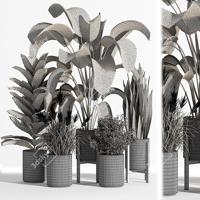 Indoor Set Plant 05 - Stylish Decor for Your Home! 3D model image 5