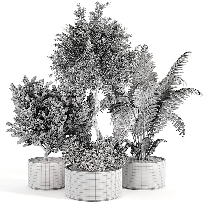 Diverse Outdoor & Indoor Plant Collection 3D model image 6