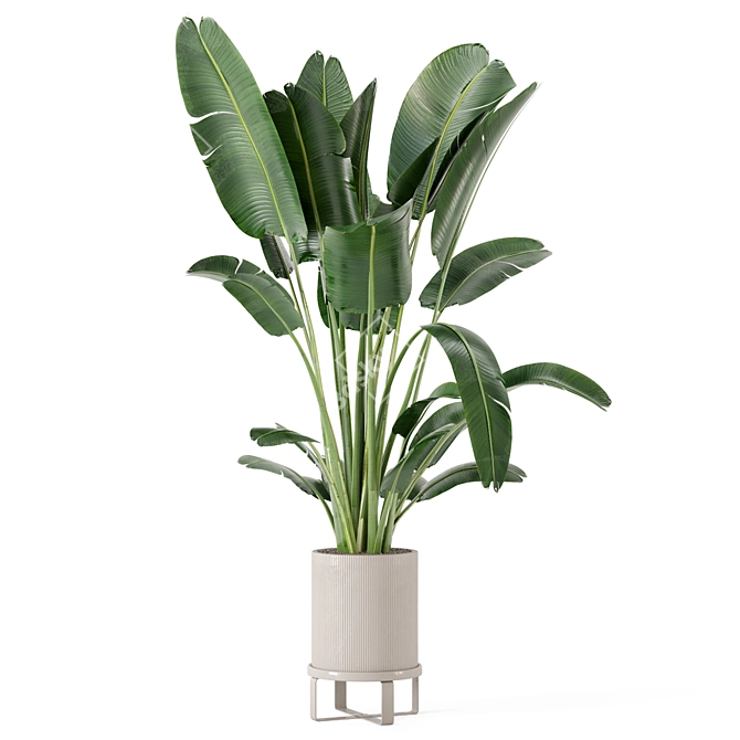 Greenery Galore: Ferm Living Bau Pot Large - Set 173 3D model image 6