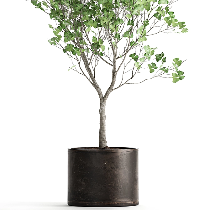 Exotic Tree Collection in Rusty Vase 3D model image 5