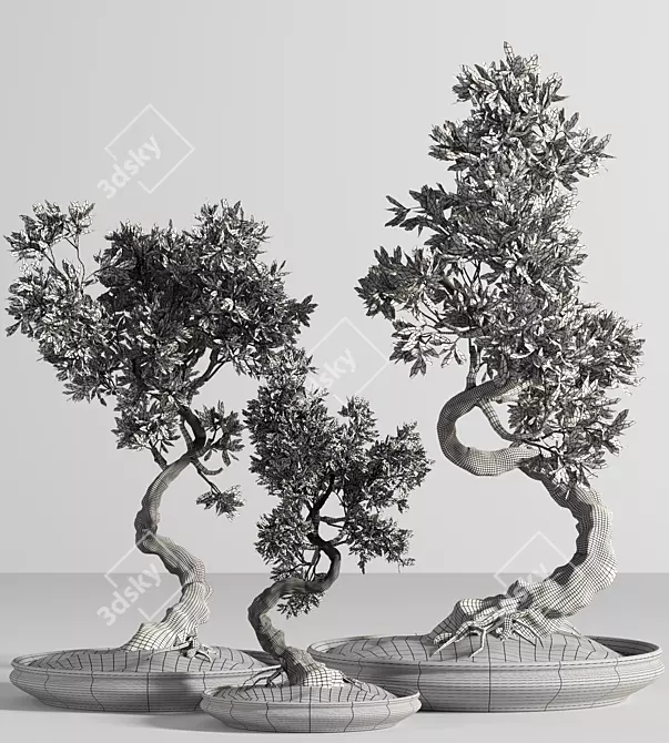 Indoor Bonsai Plant Set 3D model image 5