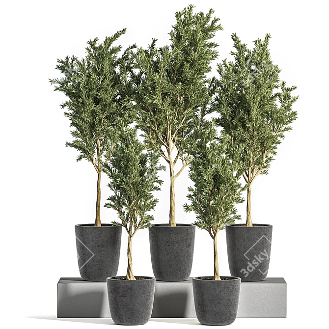 Olive Indoor Plant Set 3D model image 1