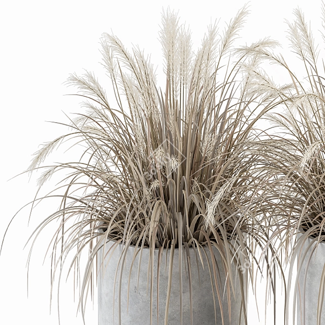 Exquisite Dried Plants Collection 3D model image 2