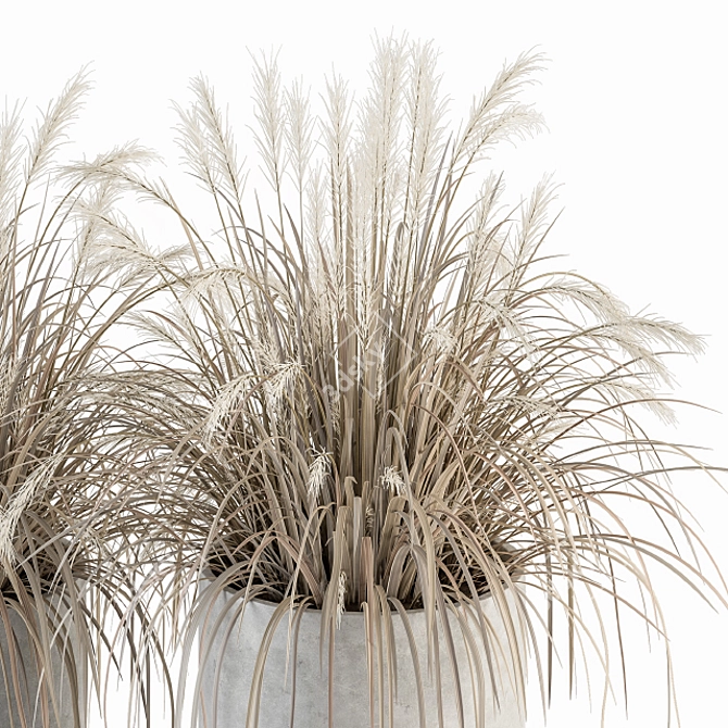 Exquisite Dried Plants Collection 3D model image 3