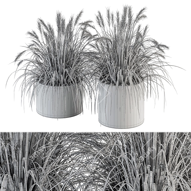 Exquisite Dried Plants Collection 3D model image 4