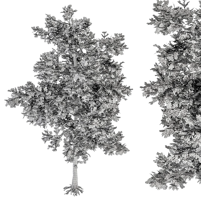 Title: Evergreen Bliss - Complete Pine Set 3D model image 6