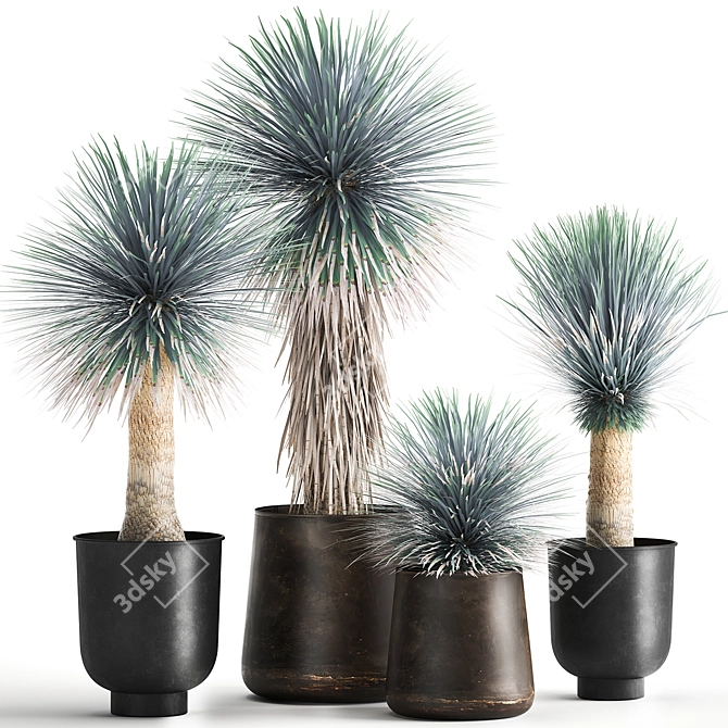 Exotic Metal Plant Collection: Yucca Rostrata, Reclaimed Artizan Iron Coppa Pot 3D model image 1